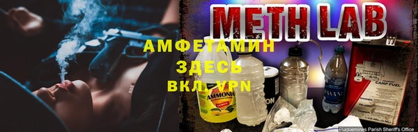 гидра Арсеньев