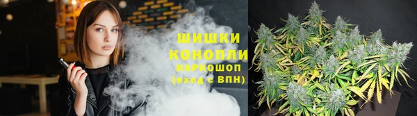 гидра Арсеньев