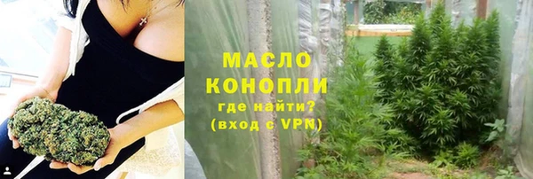гидра Арсеньев