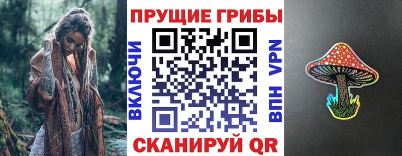 Галлюциногенные грибы Cubensis  блэк спрут сайт  Аша 